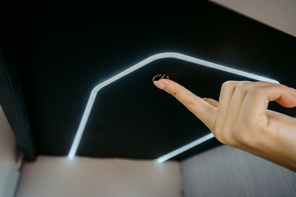 Reveling in the Finer Points: Lighting