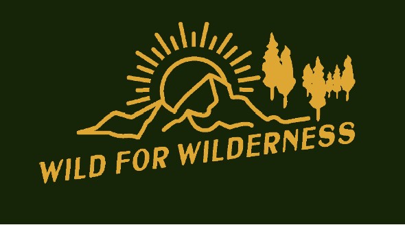 Giddy Up - Vanlifing with Pony Rider